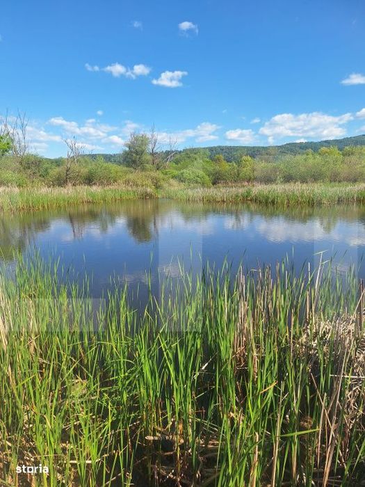 Teren de vanzare 1.600 mp cu deschidere la lac – zona Lacul Surduc