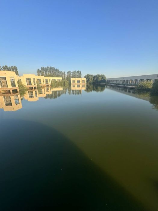 Готовый бизнес Кибрай 6.4 Га