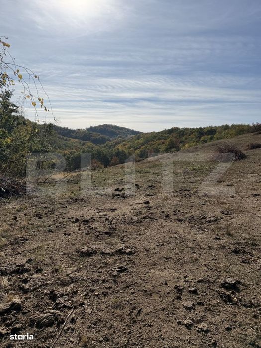 Teren extravilan in suprafata de 3 hectare
