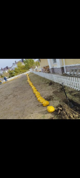 Живая изгородь,деревья,