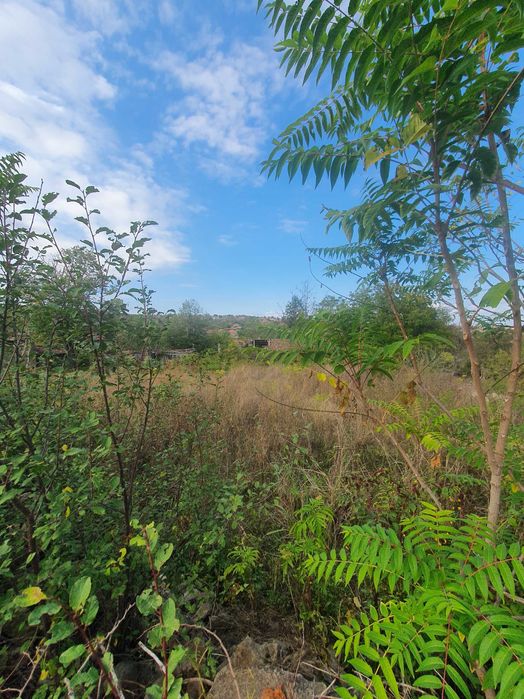 Продава се Парцел в с. Самоводене, Област Велико Търново - 1745 кв.м за 18 €/кв.м - Снимка #1