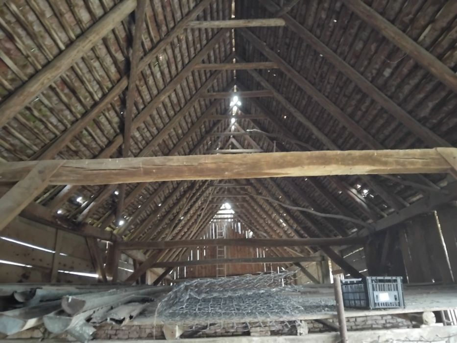 Sura din lemn masiv aprox 150mp