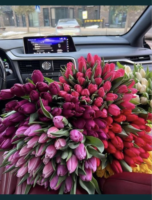 Тюльпаны свежие, доставка