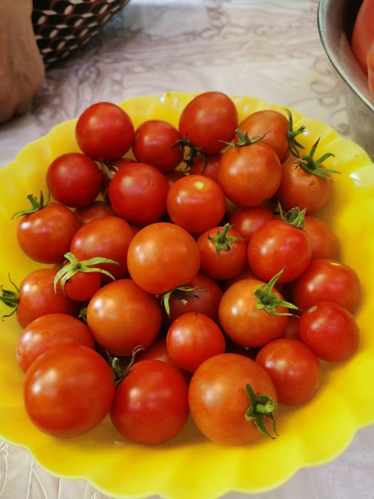Продам домашние огурцы