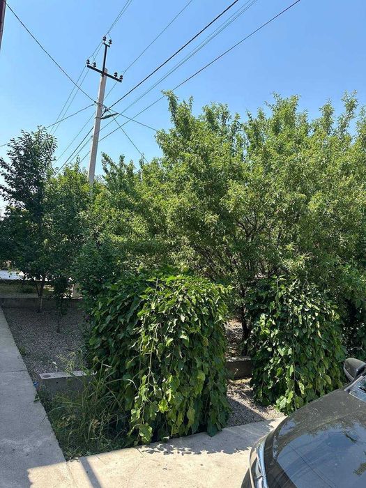 Янгиҳаёт тумани  икки қаватли намунали коттеж сотилади