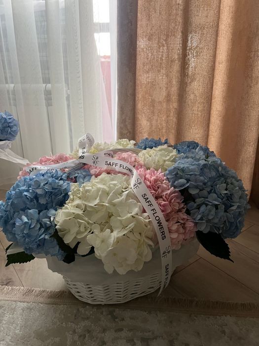 нежные гортензии