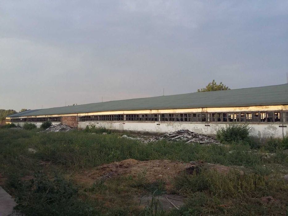 Продава се Склад в с. Нова Черна, Област Силистра - 975 кв.м за 105 €/кв.м - Снимка #4