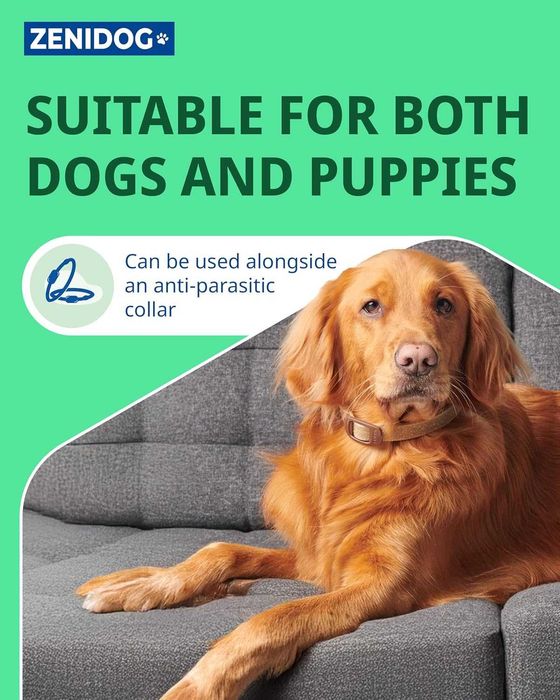 Нашийник Zenidog, Успокояващи феромони, за кучета между 10 кг - 50 кг