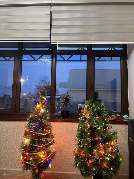 Жаңа жылдық безендірілген 2 шырша сатылады