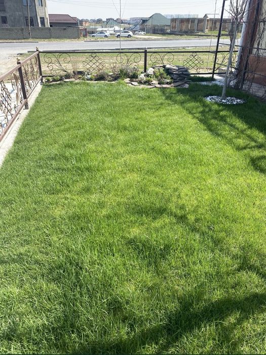 Газон и автополив