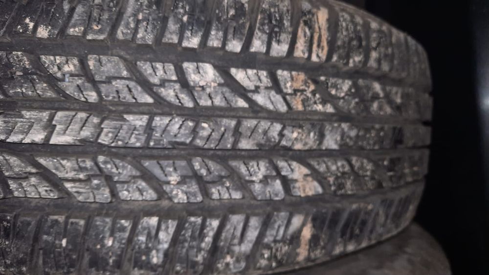 Пакришка 16 17лик