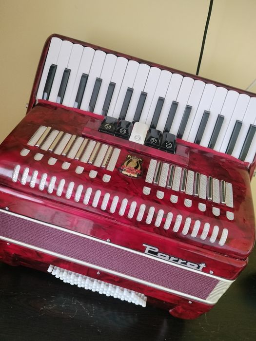 Acordeon Parrot de vanzare