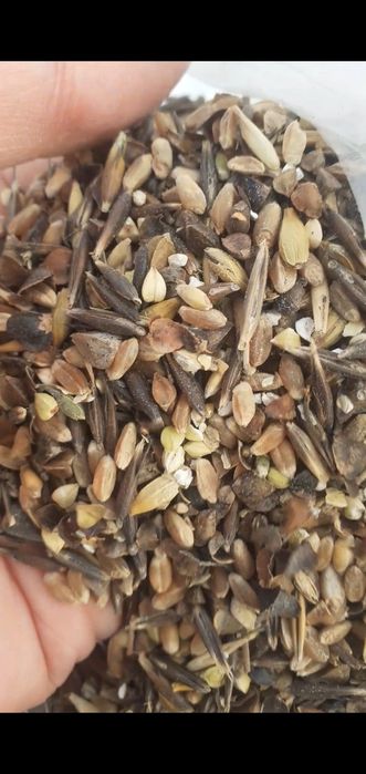 Отходы овёс с мучкай зерноотходы