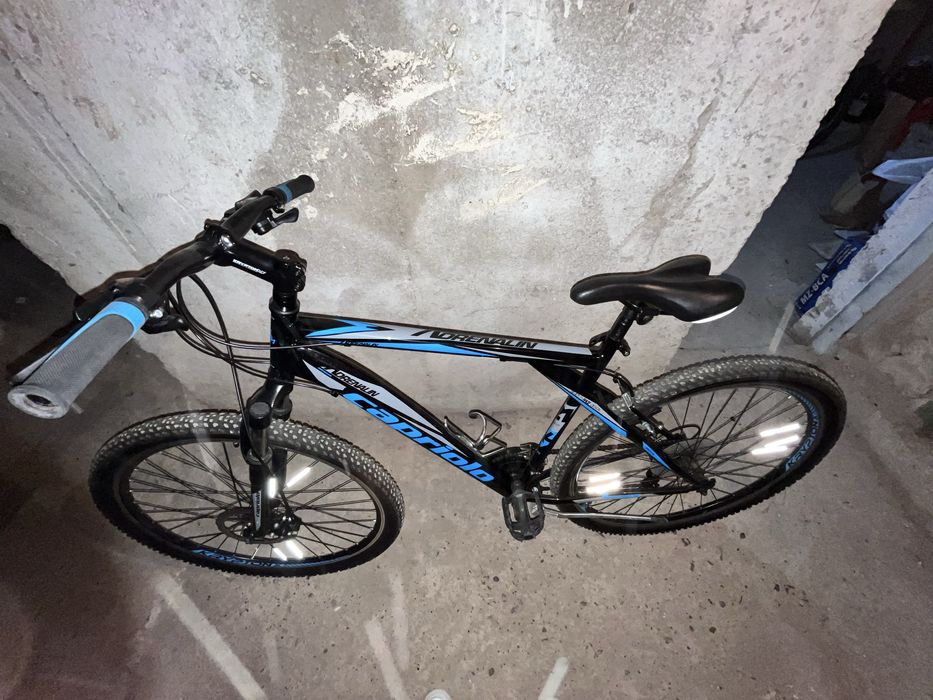 Bicicleta Capriolo 29
