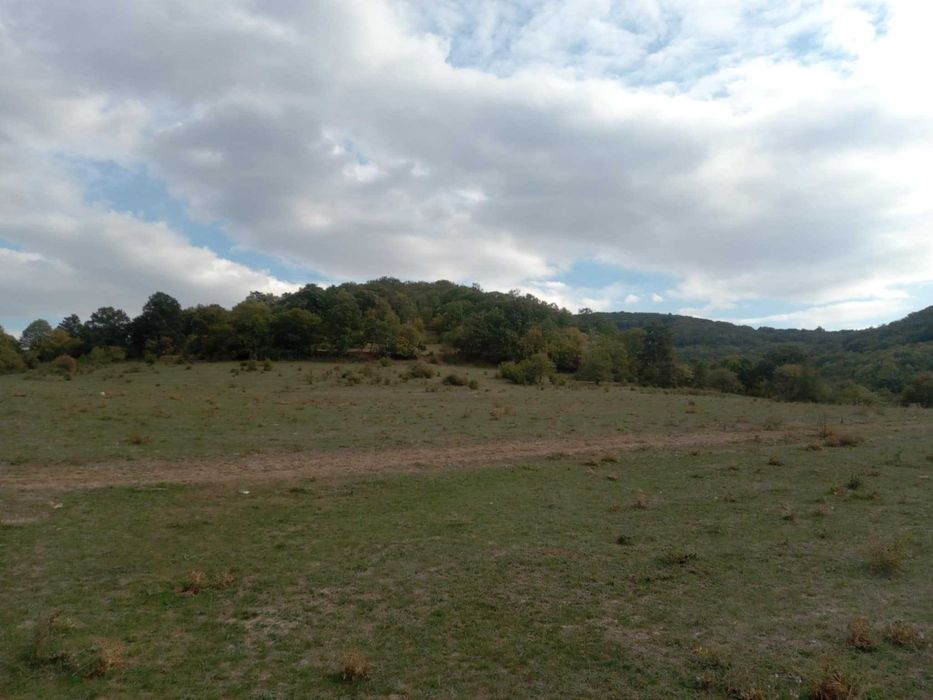 Продава се Земеделски имот в с. Змейово, Област Стара Загора -  кв.м за 5236 €/дка - Снимка #4