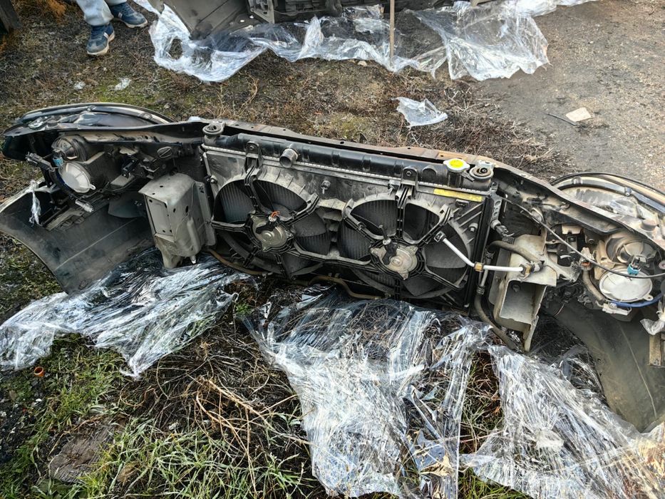 Ноускат Теана 31