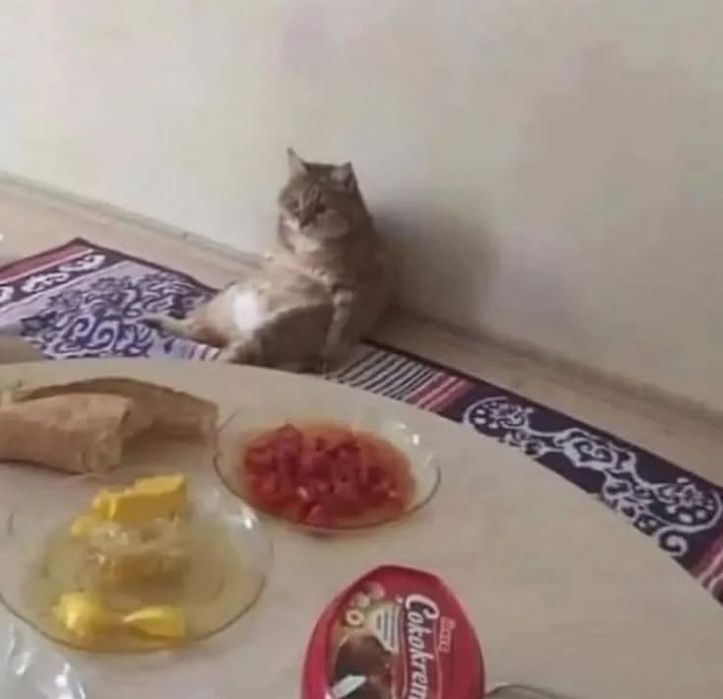 Учебный уголок нормальный состоянияда
