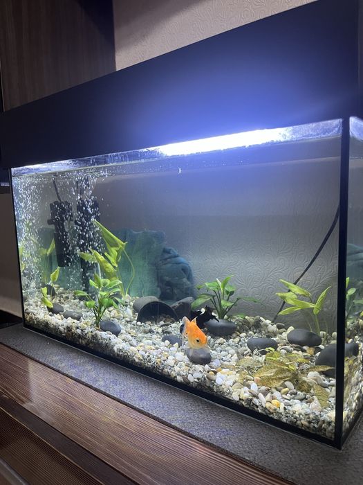Аквариум 42 литра