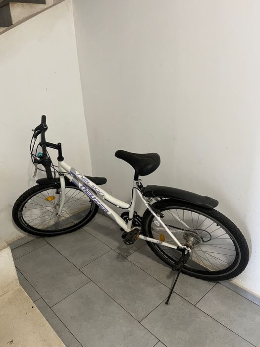 Bicicleta adulti