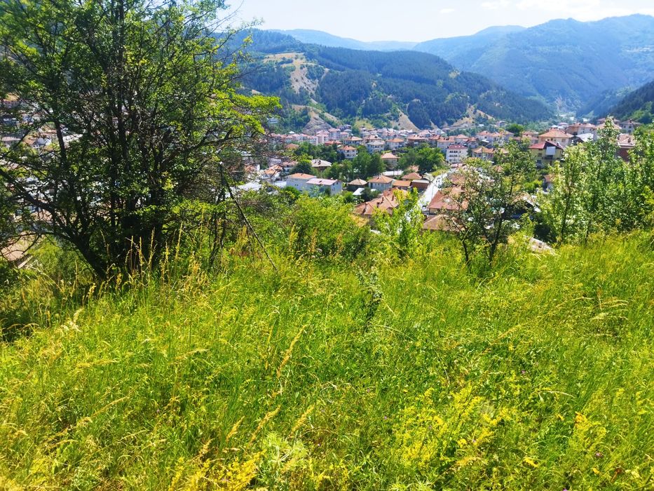 Продава се Парцел в Девин - 6627 кв.м за 61 €/кв.м - Снимка #11