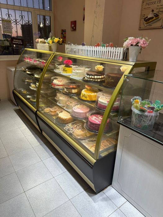 Холодильник ветриный