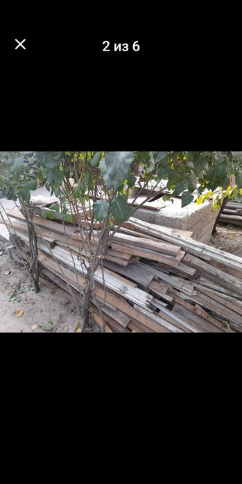 Доски разных диаметров