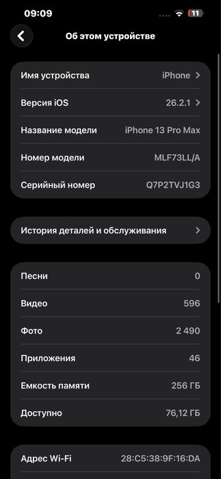 iphone 13 pro max chip