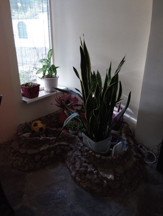 Дава се под наем Къща в Аксаково - 405 кв.м за 943.5 € - Снимка #5