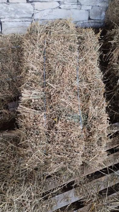 Бали от  люцерна