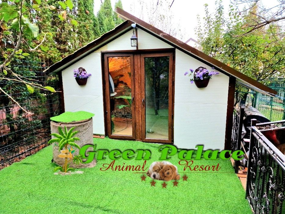 Pensiune Câini și pisici Iași