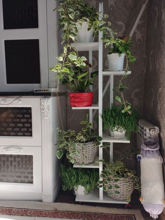 Подставка для цветов на колёсах, металлическая 5-уровневая