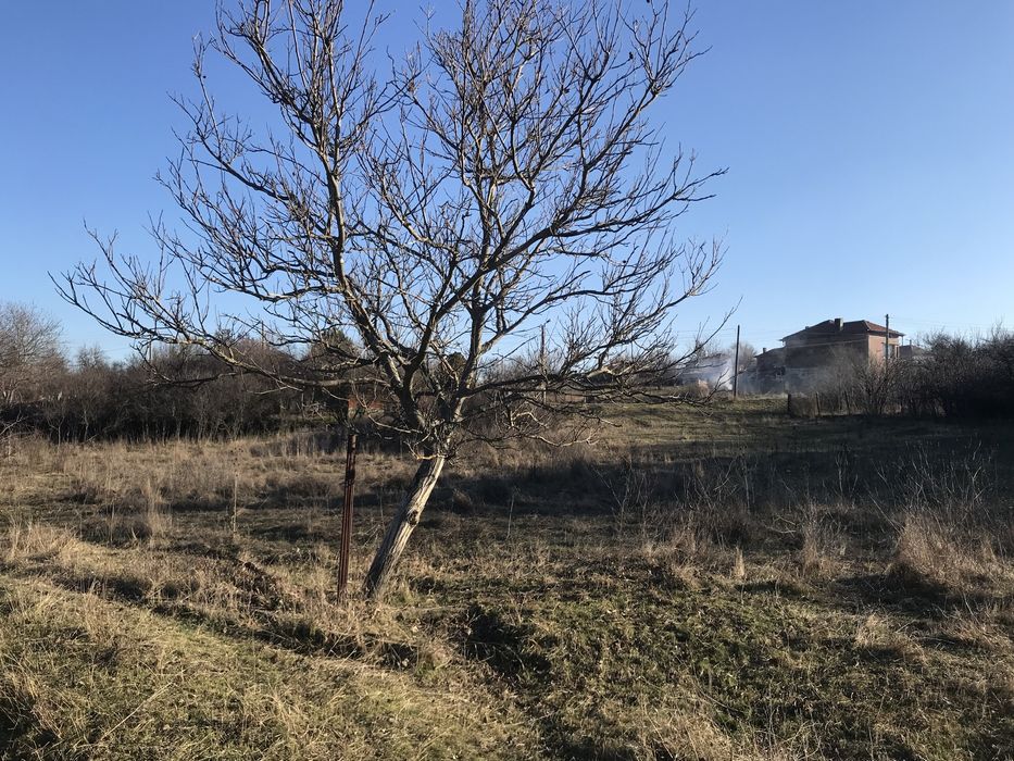 Продава се Парцел в с. Самуилово, Област Стара Загора - 865 кв.м за 9 €/кв.м - Снимка #1