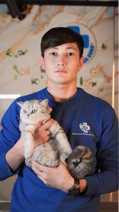 Veterinariya xizmati 24/7