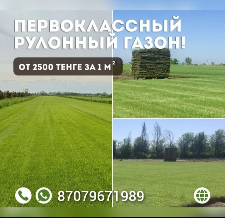 Рулонный газон, газон под ключ