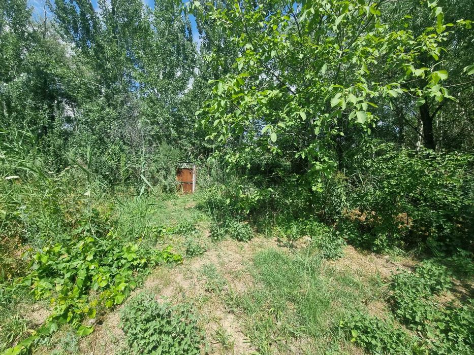 Продажа дачного участка