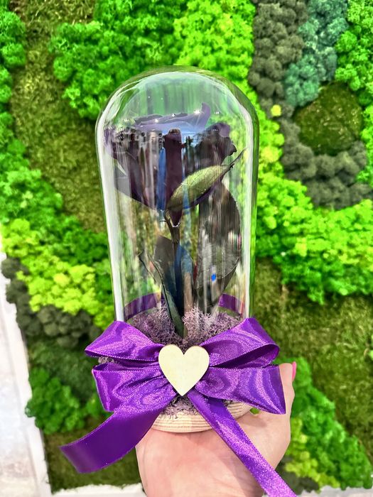 Cadouri Trandafiri criogenati