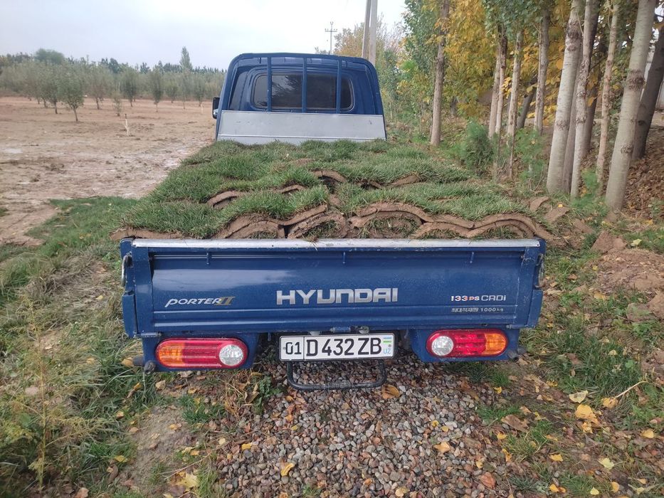 Газон Дания оптом,⁸⁸ Ландшафтный дизайн, 40000 по 45000 сум за 1²м