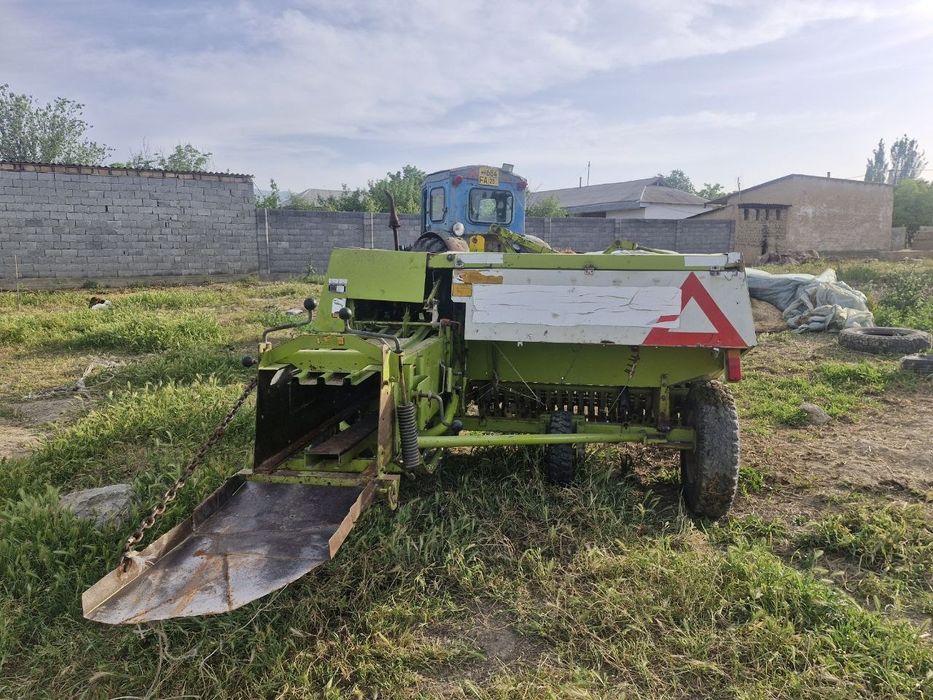 Class 55 market  piris padborchik