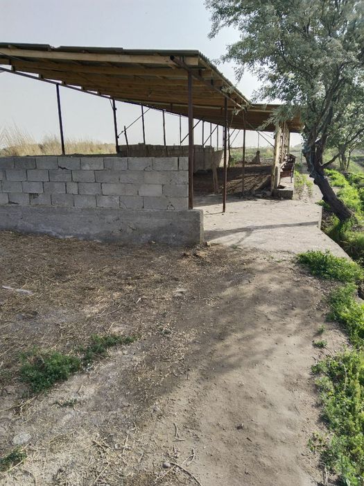 Qashqaloq jinsiy ayol porno saytlar