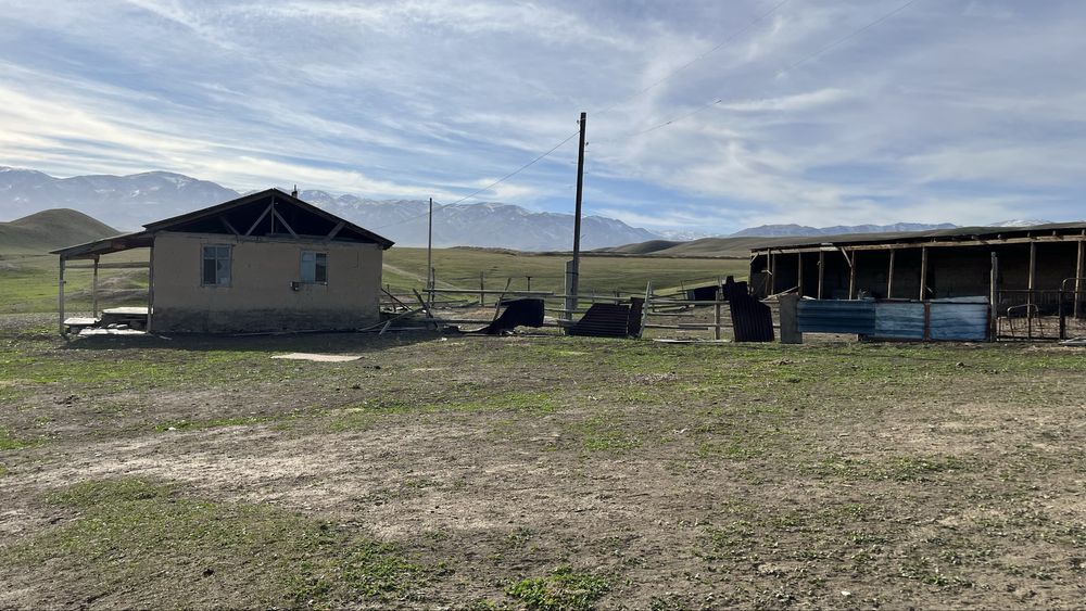 Фазенда 120 гектар