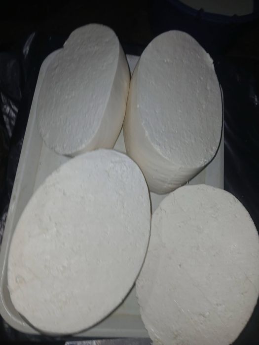 Vând brânză de capră și oaie