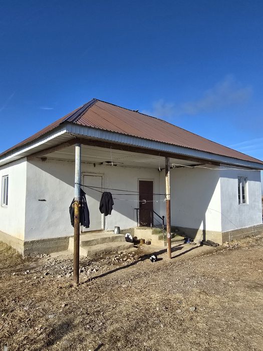 Фазенда мал шаруашылығына