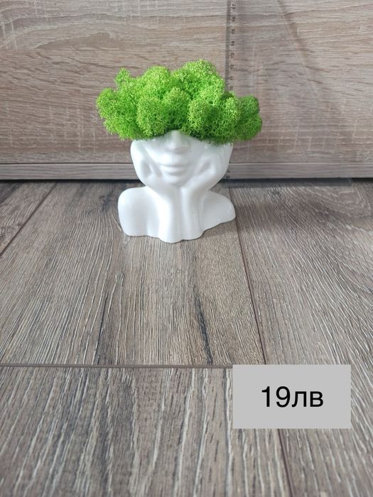 Кашпи със скандинавски мъх – тип „Лице“