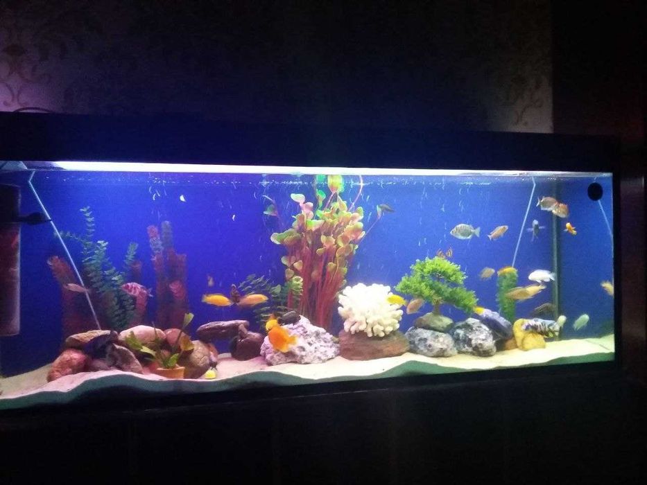 Продаётся аквариум
