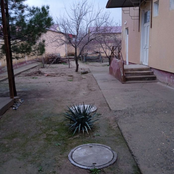 6sotixli katej sotiladi