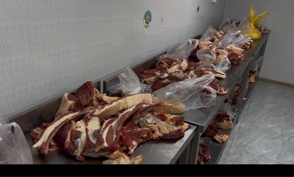 Жас жылқы еті , молодое Мяса конина 3500
