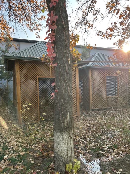 Беседка (Shipon) б/у