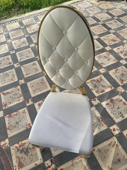 Стул туйхона тилло рангли