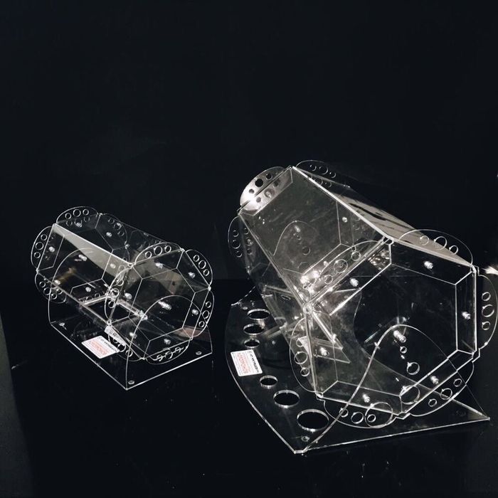 Красная ковровая дорожка