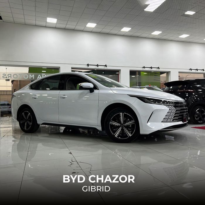 Byd chazor 101km